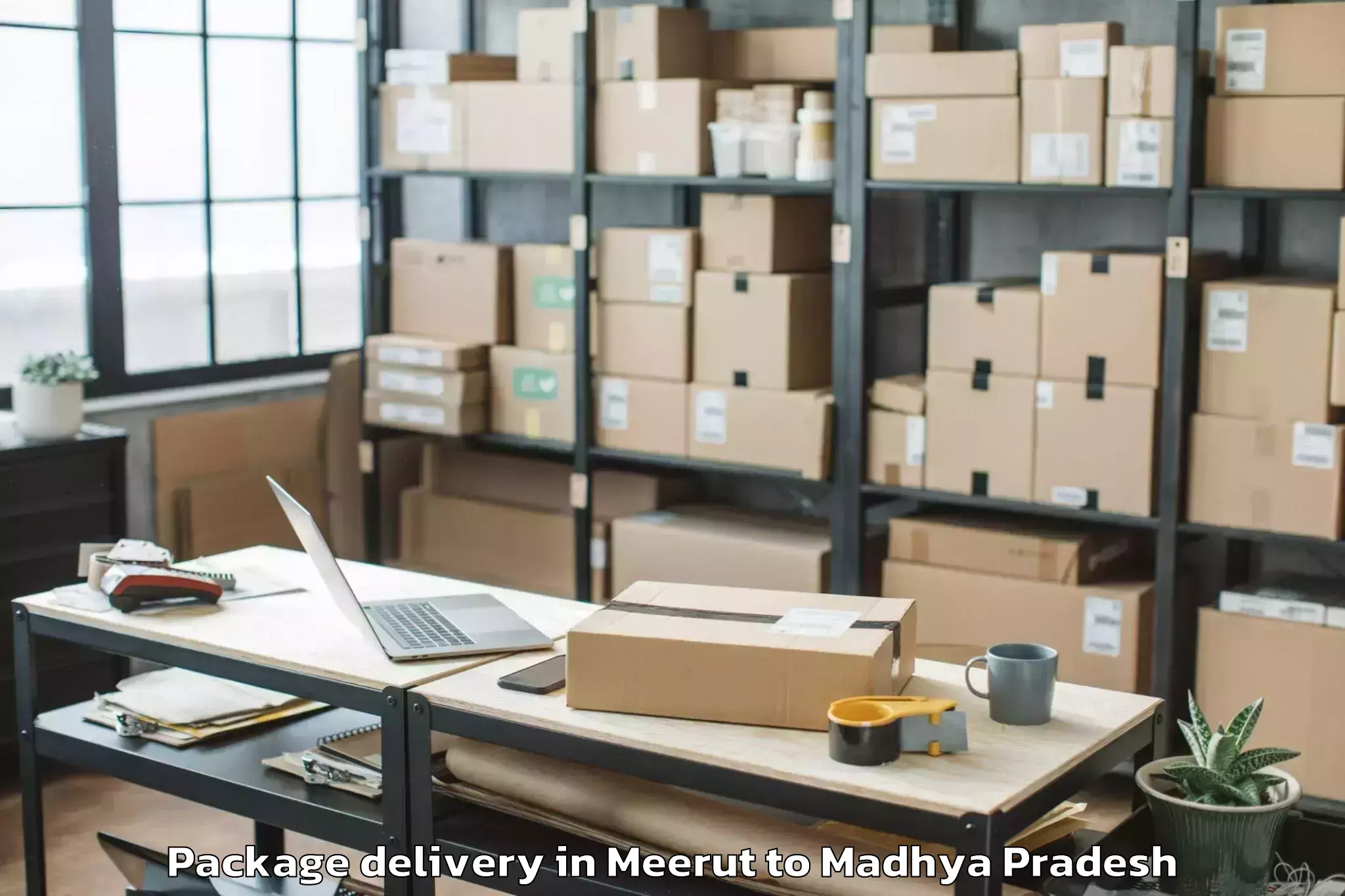 Meerut to Punasa Package Delivery